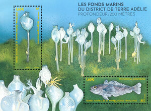 Bloc de 2 timbres TAAF - Fonds marins - 200 mètres