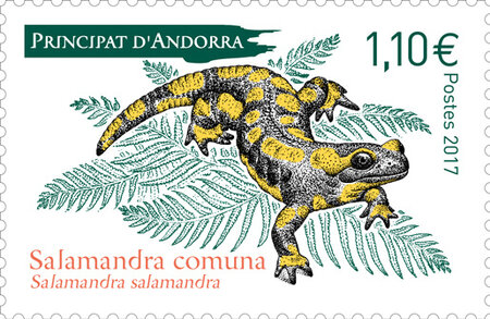 Andorre - Salamandra