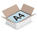 Carton d'emballage 31 x 21.5 x 5.5 cm - Simple cannelure