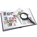 PERFECTA : Classeur fixe pour timbres (Petit modèle-Pages Blanches-32p. Grenat)