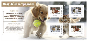 Collector 4 timbres - Chiens et chats - Hiver - Lettre Verte