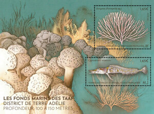 Bloc 2 timbres TAAF - Les fonds marins des TAAF - District de Terre Adélie