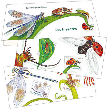 Souvenir - Les Insectes