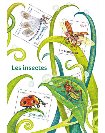 Bloc - Les Insectes