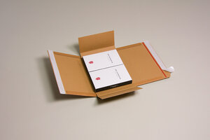 Lot de 20 cartons adaptables varia x-pack 2 format 250x191x85 mm