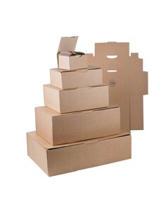 (lot  50 boîtes) boîte postale brune 250 x 150 x 100mm
