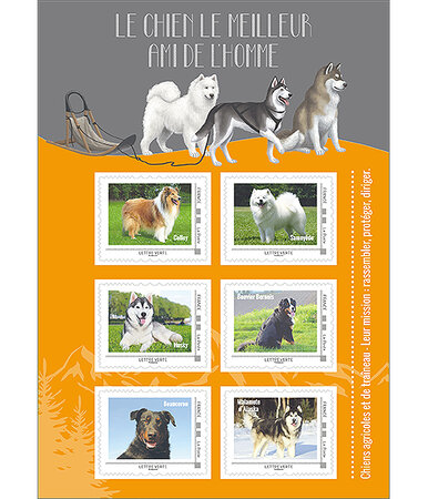 Collector - Chiens Agricoles