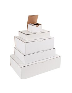 (lot  50 boîtes) boîte postale blanche 150 x 100 x 70mm