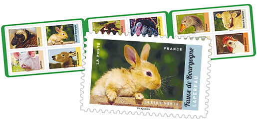 
    Carnet - Veau, Vache, Cochon, Couvée et autres animaux d'élevage - 12 timbres autocollants